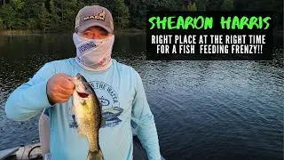 Shearon Harris Fish Feeding Frenzy! Right Place at the Right Time (2023)