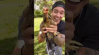 How To Catch A Chicken 🐓 #Hawaii