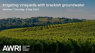 Irrigating vineyards with brackish groundwater