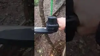 сучкорез