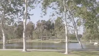The Vertigo Effect | Dolly Zoom | Reverse-Tracking Shot | Karma Drone