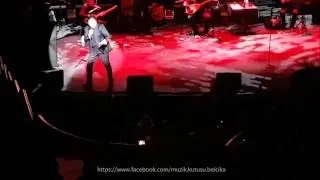 Kubat | Bahçe Duvarindan Astim