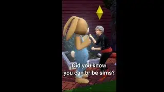 Bribing the Flower Bunny 