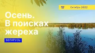 Октябрь. В поисках жереха