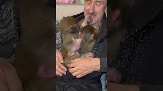 СЧАСТЬЕ ВЛАДА-Люся, Степка, Маня)