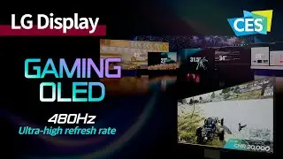 [CES 2024] OLED’s first 480Hz ultra-high refresh rate! High-end gaming display | LG Display