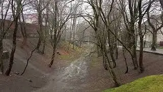 Фридланд или Правдинск.