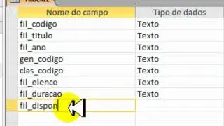 Access - Projeto Locadora - Tabela Filmes.wmv