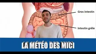 LA MÉTÉO DES MICI