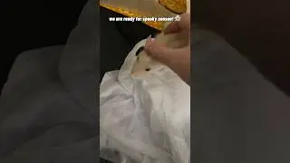 Pet Rats vs. Halloween Ghost 👻