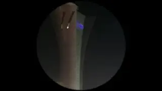 How to get Meaning Badge in your last thoughts at the end of time Roblox