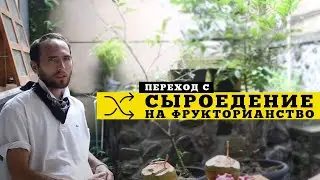 #11 Переход с сыроедение на фрукторианство