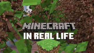 Minecraft in realife
