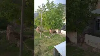 Yagca Köyü TIMIGI - Erzincan Kemah #erzincan #kemah #köy