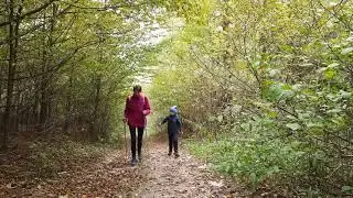 КРЕМЕНЕЦЬКІ ГОРИ Вовча, Гостра, Лиса