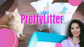 PrettyLitter: Transforming the litter box