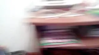 Растение из P v Z