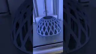 3D Printed Air-plant Basket! #shorts #3dprinted #engineering #engineer #fusion360 #build #plants