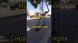 Цена Эмиграции #shorts #эмиграция #войнаукраина