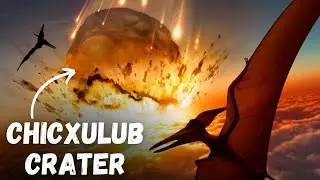 Asteroid that killed the dinosaurs | Chicxulub Crater | How dinosaurs went extinct | UNIECO 