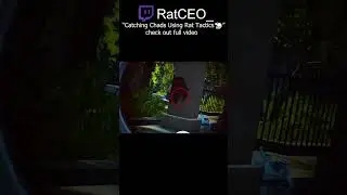 The Best Way To Play 