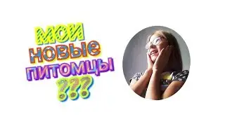Мои новые питомцы???Кто же это?