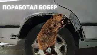 Переварка крыла 190 Мерседес