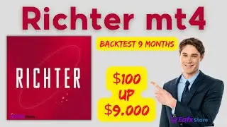 Richter EA MT4 Backtest 2024 | FX STORE EA