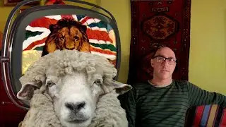 Выведение из философии №5 - Овцы против шерсти