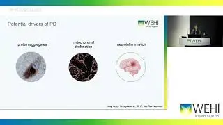 Schmidt M (2024): Blocking dopaminergic neuron death in Parkinson’s disease