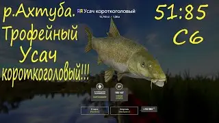 Трофейный Усач на реке Ахтуба! рр4
