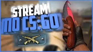 🔴ПРЯМОЙ ЭФИР! | Играем в Counter-Strike: Global Offensive на PVPRO.COM 🔴