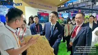 Products：Synthetic Thatch Roof