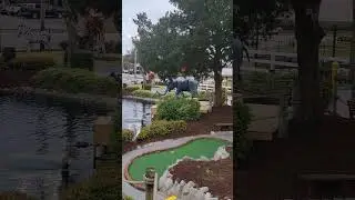 эгзотика