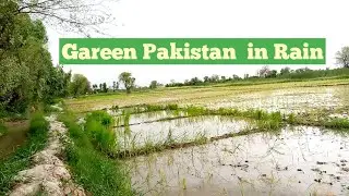 Gareen Pakistan  in Rain|||گرین پاکستان