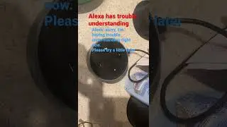 Alexa has trouble understanding