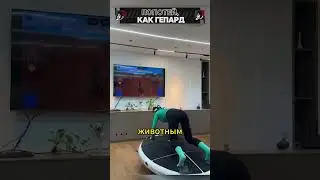 СТАНЬ ГЕПАРДОМ — это ВОЗМОЖНО! 