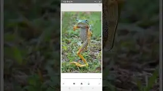 Mobile Photography 2023 #lightroomediting #shorts #youtubeshorts #photoediting #snapseedediting