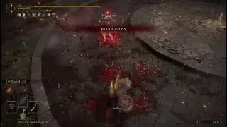 Most honest Elden Ring PvP player