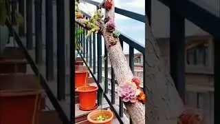 Декор бревна цветами, КРАСОТА. #Shorts