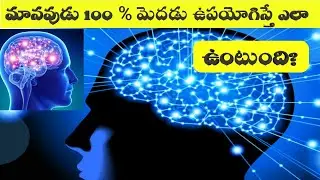 What if Humans Used 100% Of their Brains In Telugu ? || Science || VSR Telugu World Facts