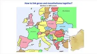 Mesothelioma: new developments in the lab and the clinic