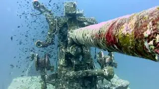Затопленный корабль HTMS Sattakut // Wreck // Ко Тао // Дайвинг