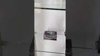 Камнерезное искусство. Музей изобразительных искусств. Екатеринбург.