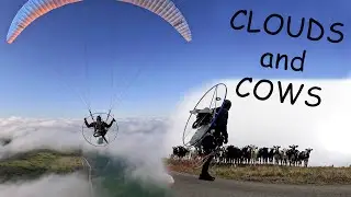 Paramotor over Clouds and Cows