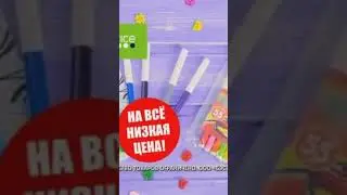 24 сентября 2023 г.