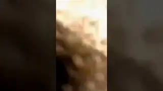 он это специально сделал?😱