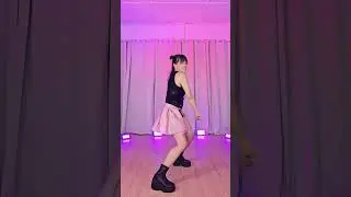 [MIRRORED] BLACKPINK 'THE GIRLS' (last chorus) dance cover 