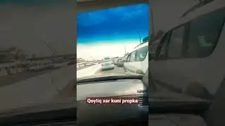 куйлик бозори пропка