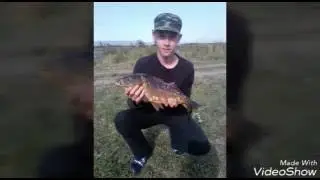 ловим на пруду. трофейный карп 2 800 кг